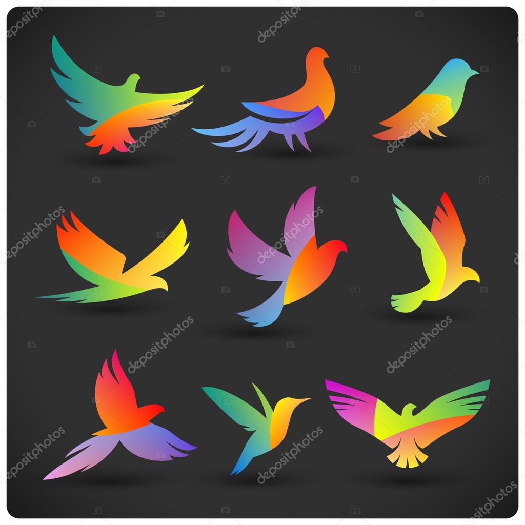 Set of colorful flying birds logo elements. Rainbow silhouettes on dark.