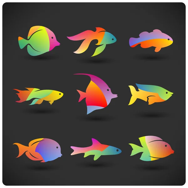 Color Aquarium fishes — Stock Vector