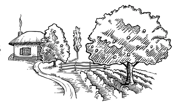 Côté campagne avec arbres et maison — Image vectorielle