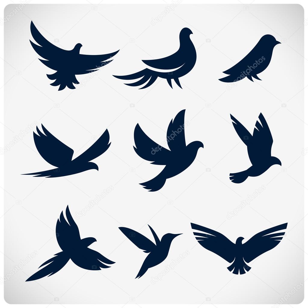 Set of flying birds