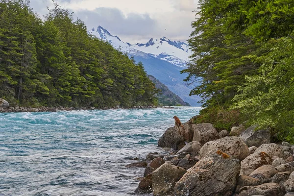 Rio Baker nehrinin akıntıları Patagonya, Şili, Güney Amerika 'daki Carretera Austral boyunca akıyor.