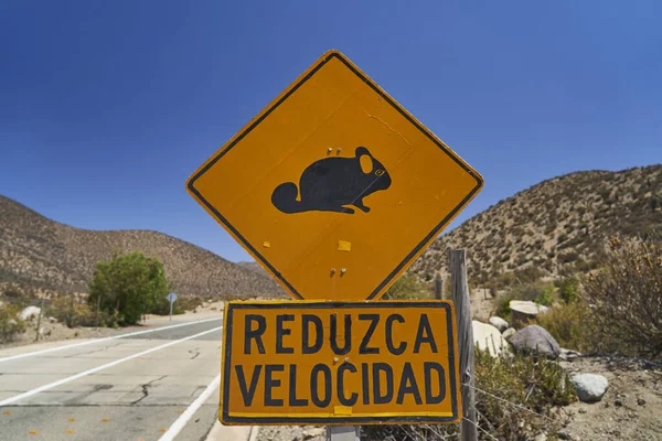 black and yellow traffic sign warning of Chinchilla in the road and telling to reduce speed, Chinchilla national park, in the arid landscape of the atacama desert in Chile, south America