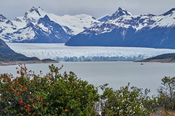 Blauw Ijs Van Perito Moreno Gletsjer Gletsjers Nationaal Park Patagonië — Stockfoto