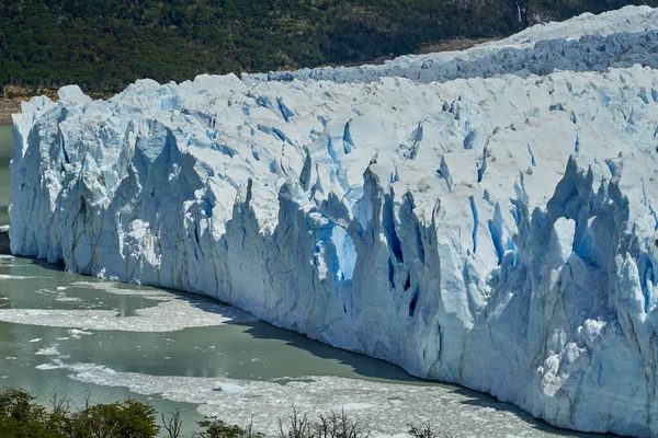 アルゼンチンのパタゴニアの氷河国立公園にあるペリト モレノ氷河の青い氷 前景のラゴ アルゼンチーノのターコイズブルーの水 遠くのアンデスの濃い緑の森 — ストック写真