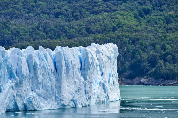 アルゼンチンのパタゴニアの氷河国立公園にあるペリト モレノ氷河の青い氷 遠くのアンデス山脈の前景と暗い緑の森の中にあるラゴ アルゼンチーノのターコイズブルーの水 — ストック写真