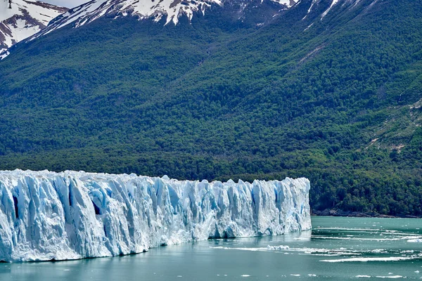 アルゼンチンのパタゴニアの氷河国立公園にあるペリト モレノ氷河の青い氷 前景にラゴ アルゼンチノのターコイズブルーの水 暗い緑の森 遠くにアンデス山脈の覆われた山々を蒔く — ストック写真