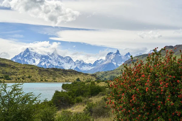 Cuernos Hoorns Van Torres Del Paine Bedekt Met Sneeuw Torres — Stockfoto