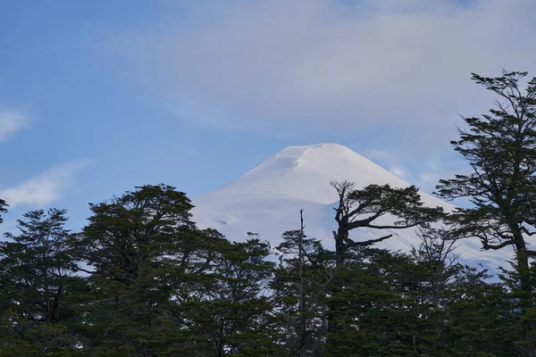 在维拉里卡国家公园的山顶上 雪盖火山 带着冰盾 — 图库照片