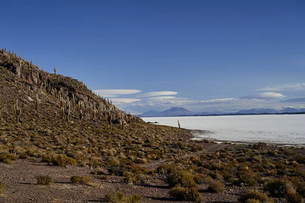 Ilha Dos Peixes Salar Uyuni Salar Tunupa Maior Planície Salina — Fotografia de Stock