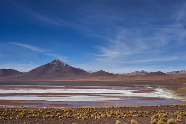 Laguna Colorada Red Lagoon Een Ondiep Zoutmeer Het Altiplano Van — Stockfoto