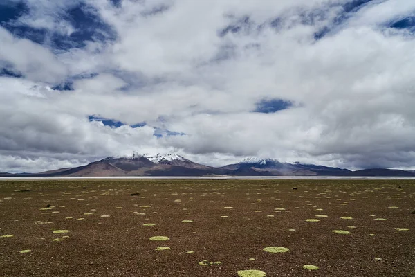 Paesaggio Vasto Desolato Alta Quota Negli Altopiani Delle Ande Cile — Foto Stock