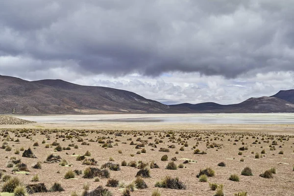 Vasta Desolada Paisagem Alta Altitude Nas Terras Altas Dos Andes — Fotografia de Stock