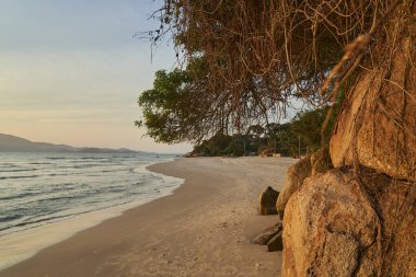 Atlas Okyanusu 'nun plajında altın ışık ve dramatik gökyüzü ile güzel bir gün batımı. Santa Catarina Adası, Brezilya, Güney Amerika kıyıları boyunca dalgalar.