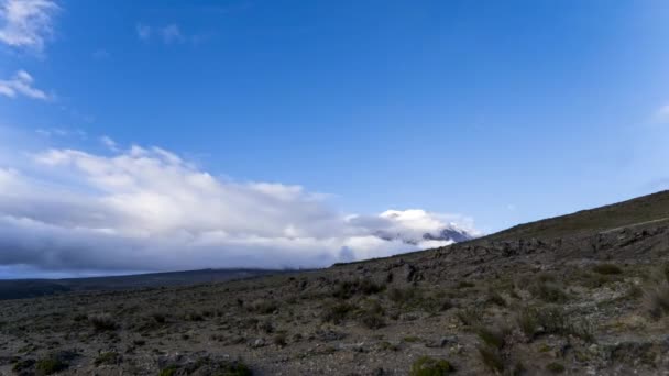Ośnieżony Wulkan Chimborazo Jest Najwyższą Górą Ekwadorze Szczyt Jest Najdalej — Wideo stockowe