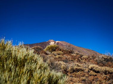 El Teide İspanya 'nın Tenerife adasındaki en yüksek volkandır. Yürüyüş ve yürüyüş için popüler bir seyahat yeri.