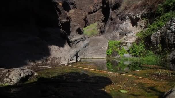 穿越西班牙金丝雀岛Tenerife峡谷的远足小径 — 图库视频影像