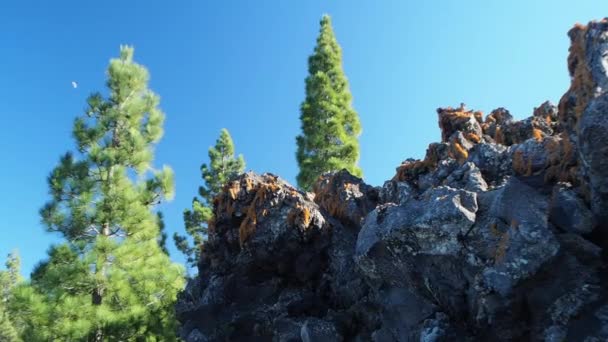 テイデ火山はスペインのテネリフェ島で最も高い山である ハイキングやトレッキングのための人気のある旅行先 — ストック動画