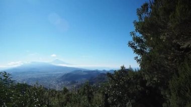İspanya, Kanarya Adaları, Tenerife 'nin güzel manzarasında yürüyüş yapmak.