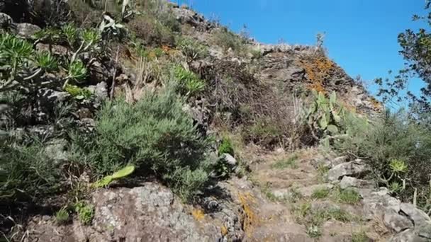 Senderismo Por Hermoso Paisaje Tenerife Islas Canarias España — Vídeo de stock