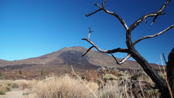 泰德岛是一座火山 也是西班牙常春藤岛上的最高峰 远足和徒步旅行的热门旅游胜地 — 图库视频影像