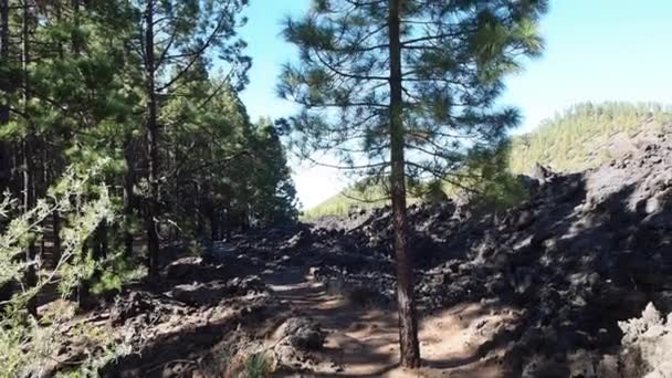 Teide Spanya Nın Tenerife Adasındaki Yüksek Volkandır Yürüyüş Yürüyüş Için — Stok video