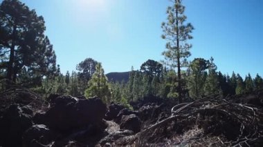 El Teide İspanya 'nın Tenerife adasındaki en yüksek volkandır. Yürüyüş ve yürüyüş için popüler bir seyahat yeri.