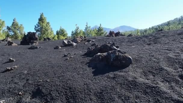 泰德岛是一座火山 也是西班牙常春藤岛上的最高峰 远足和徒步旅行的热门旅游胜地 — 图库视频影像