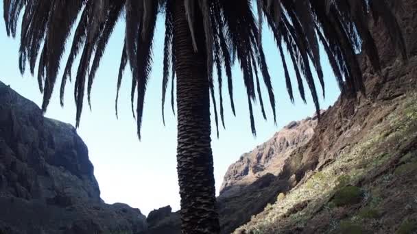 Senderismo Por Hermoso Paisaje Tenerife Islas Canarias España — Vídeo de stock