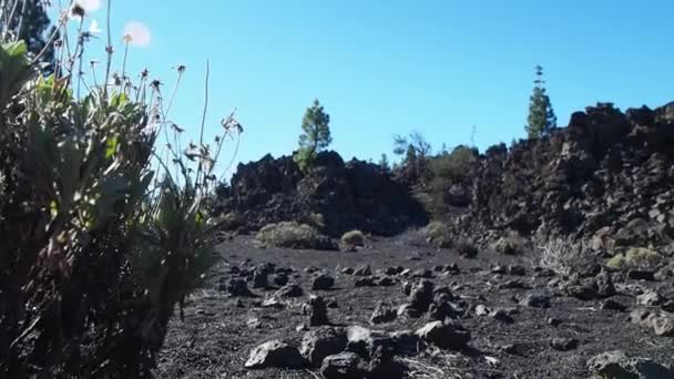 泰德岛是一座火山 也是西班牙常春藤岛上的最高峰 远足和徒步旅行的热门旅游胜地 — 图库视频影像