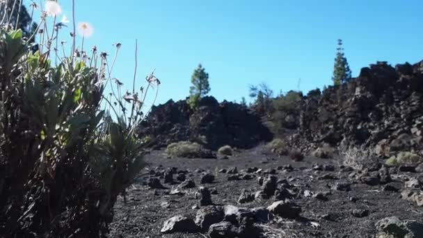 テイデ火山はスペインのテネリフェ島で最も高い山である ハイキングやトレッキングのための人気のある旅行先 — ストック動画