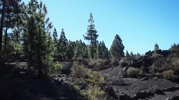 Teide Volcano Highest Peak Island Tenerife Spain Popular Travel Destination — Stock Video