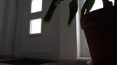 Soğuk kış mevsiminde koridorda kar yığını görünüyor.