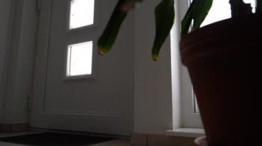 Soğuk kış mevsiminde koridorda kar yığını görünüyor.