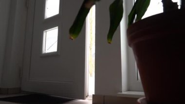 Soğuk kış mevsiminde koridorda kar yığını görünüyor.