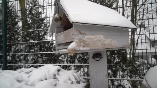 冬の風景の中に雪の庭にある木造のバードハウス — ストック動画