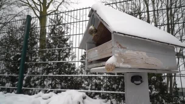 Casa Pássaro Madeira Jardim Com Neve Topo Paisagem Enrolamento — Vídeo de Stock