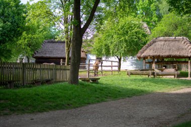 Açık hava müzesi, sazdan çatı, köy, kırsaldaki yol, kenar, yeşillik, eski kır evi, eski ahşap kütükler, köyde bir bank.