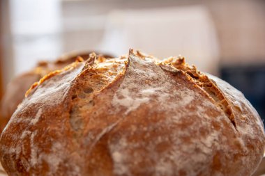 ev yapımı ekmek çavdar ekmeği mayalı fırın.