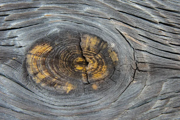 Fondo Madera Vieja Textura Vieja Tabla —  Fotos de Stock