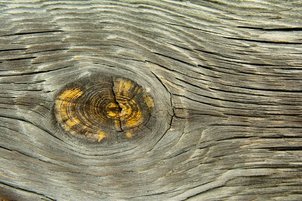 Fondo Madera Vieja Textura Vieja Tabla —  Fotos de Stock