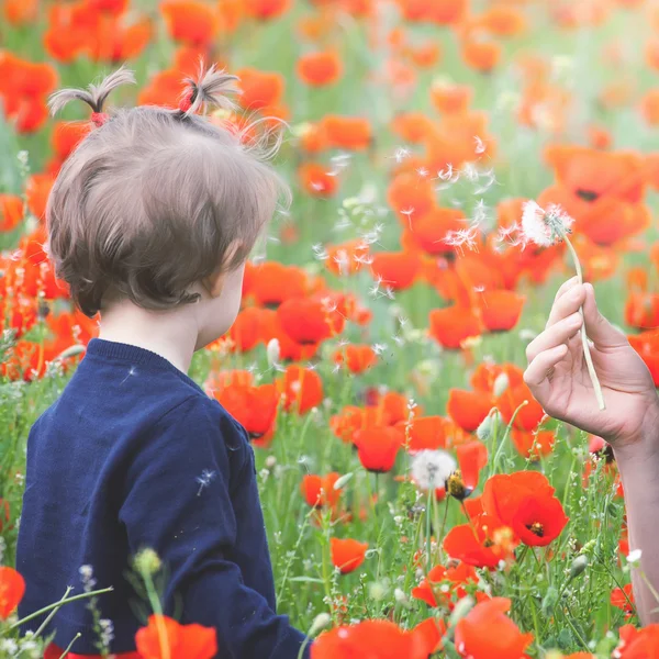Bir balon haşhaş sahasında açık tutarak komik çocuk