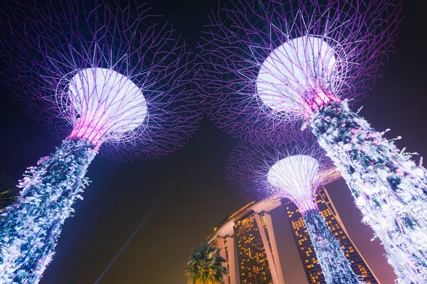 Singapore supertree — Stock Photo, Image