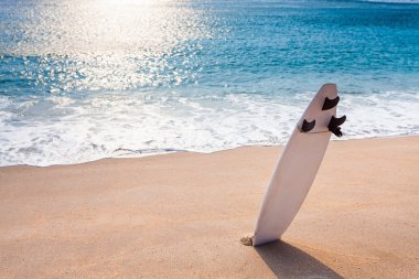 vahşi sahilde sörf tahtası