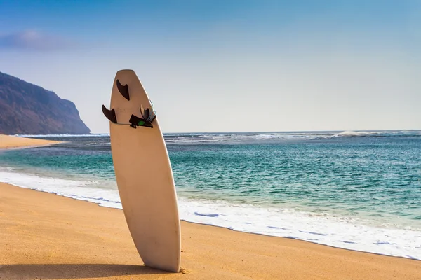 Deska surfingowa na dzikiej plaży — Zdjęcie stockowe