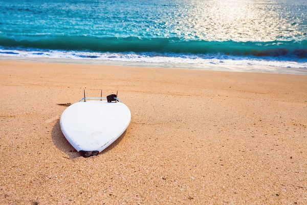 Surfboard on the wild beach — Stock Photo, Image