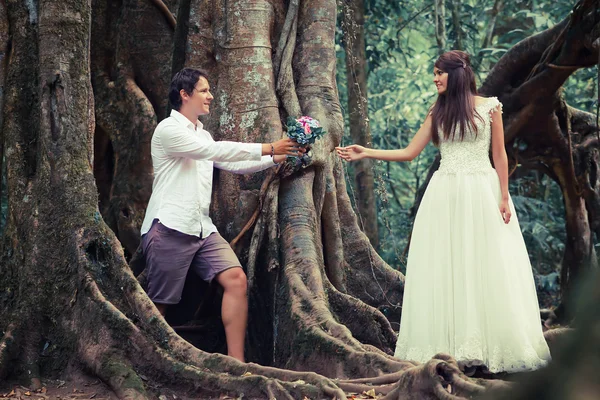 Pareja de boda en bosque — Foto de Stock