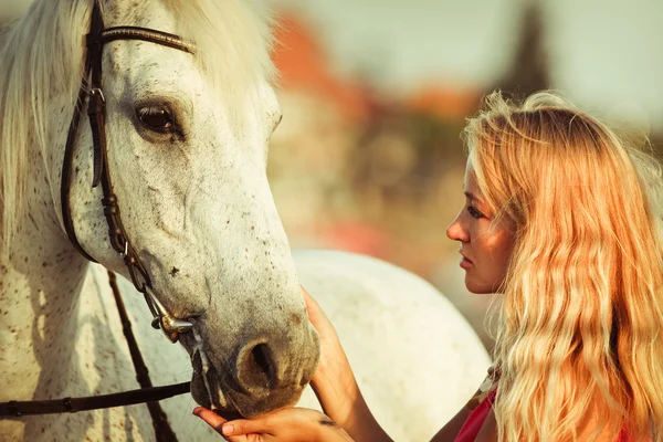 Fiatal nő közelében a ló — Stock Fotó