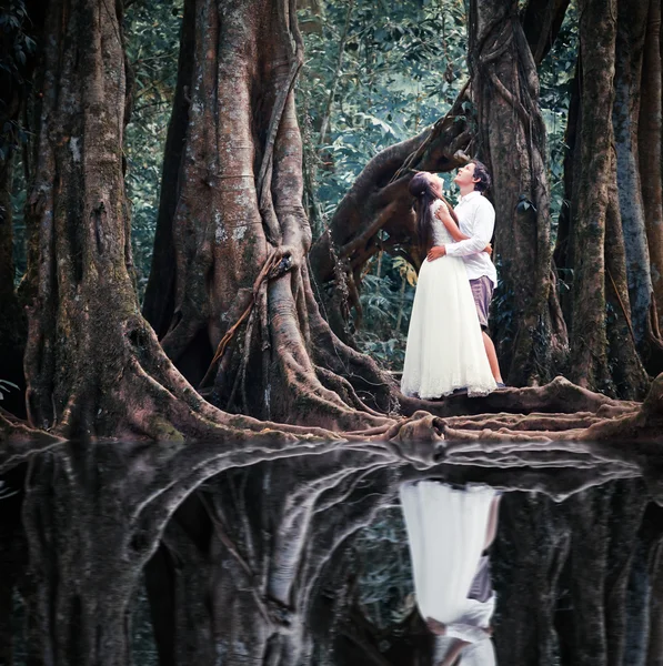 Pareja de boda en bosque —  Fotos de Stock