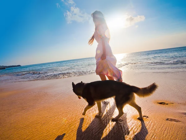 女性が犬と旅行 — ストック写真