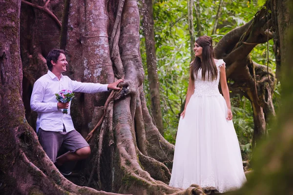 Wedding couple in forest — Stock Photo, Image